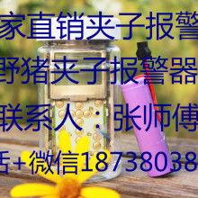 夹子报警器视频,智能守护，安全无忧