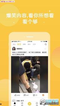 暖暖爱在线视频,在线视频中的温馨瞬间